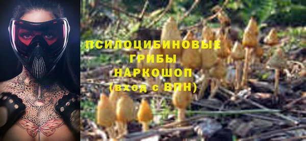 кокаин Новодвинск
