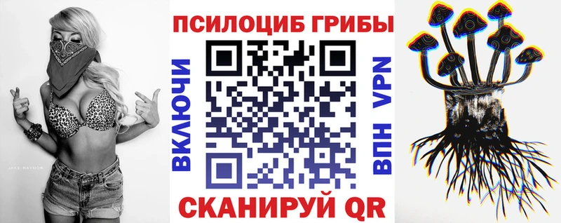 Псилоцибиновые грибы прущие грибы  купить наркотик  Пошехонье 