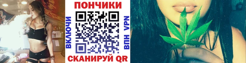 Бошки марихуана индика  магазин продажи   Пошехонье 